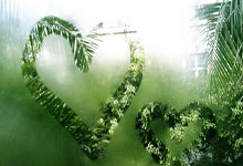 LOL电竞入口 -德甲前瞻云达不来梅vs多特蒙德